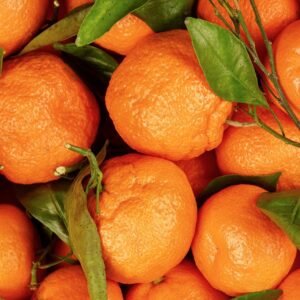 f8cae0132e7b9dbb09e118a193dfe686